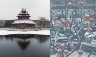 故宫雪景,水粉画教程 AI教你故宫初雪这么拍