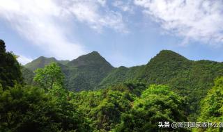 西安附近那个森林公园景色好,好玩 西安黑河森林公园